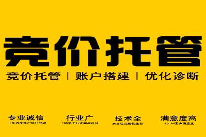 百度SEO推广策略深度解读：某企业网络营销的胜利之路